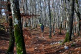 Clicca qui per vedere l'immagine in dettaglio
